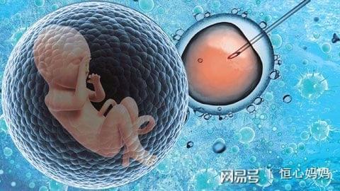 供卵联系方式
